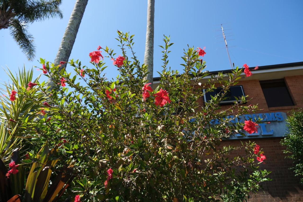 Sapphire Palms Motel Entrance Exterior photo